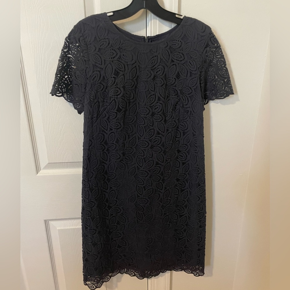 Ann Taylor Navy Lace Shift Dress